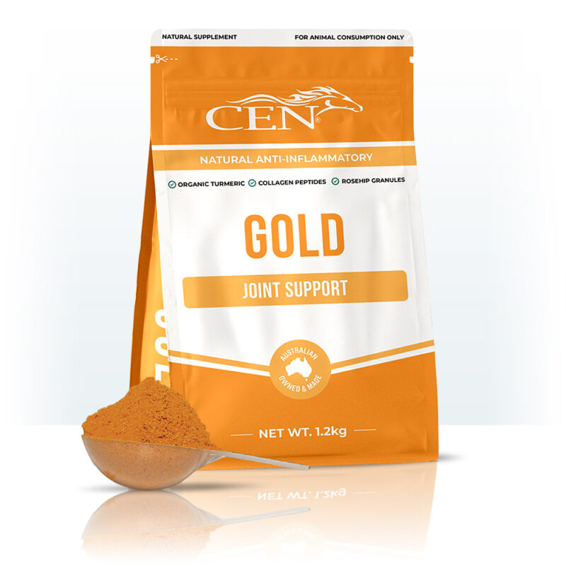 CEN GOLD 1.2KG