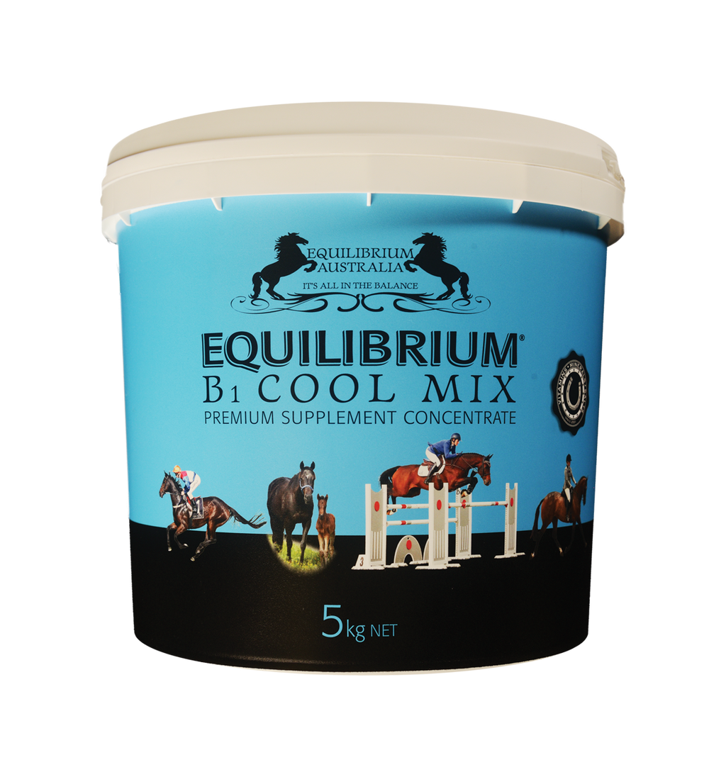 EQUILIBRIUM B1 COOL MIX  BLUE [Sz:5KG]