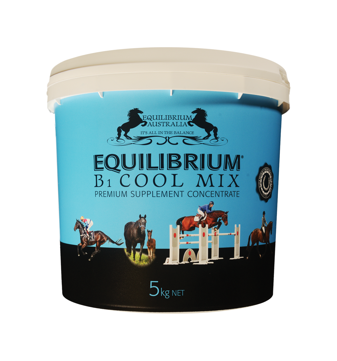 EQUILIBRIUM B1 COOL MIX  BLUE [Sz:5KG]