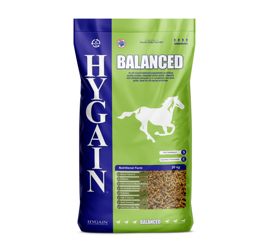 HYGAIN BALANCED 20KG