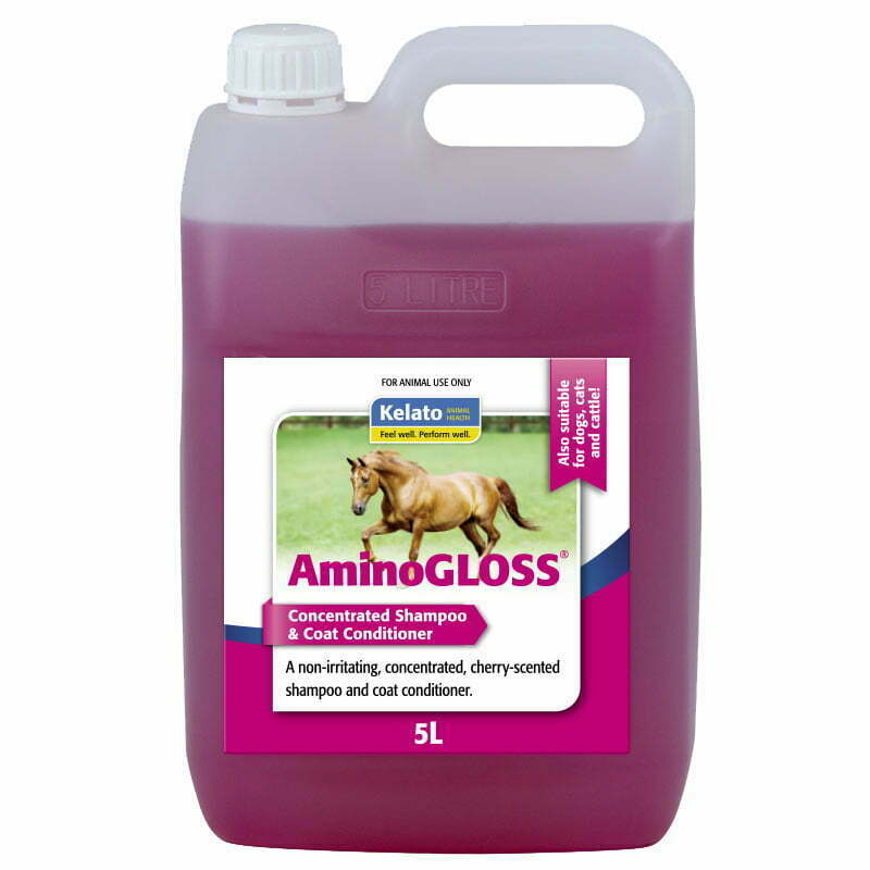 AMINO GLOSS [Sz:5L]