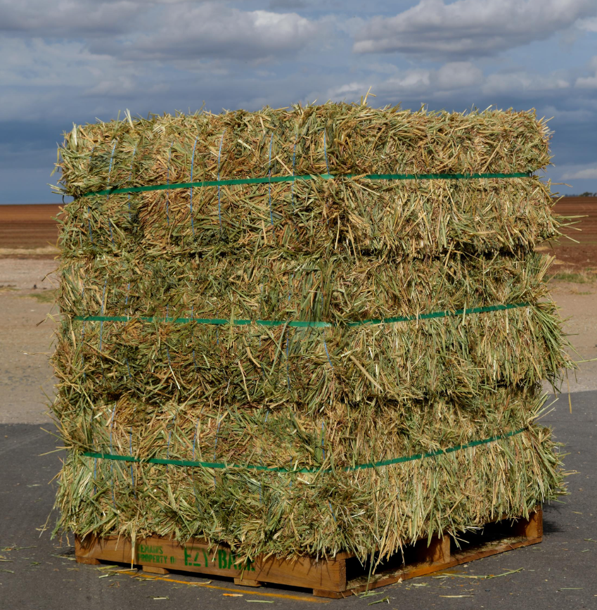 HAY COMPRESSED WHEATEN 