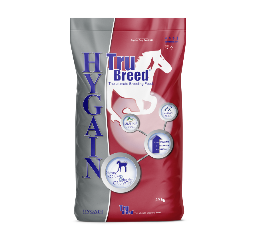 HYGAIN TRU BREED 20KG 