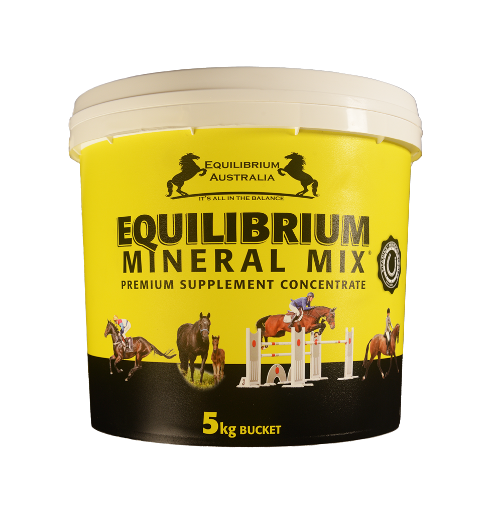 EQUILIBRIUM MINERAL MIX  YELLOW [Sz:5KG]