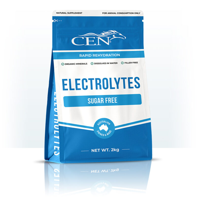 CEN ELECTROLYTES 2KG