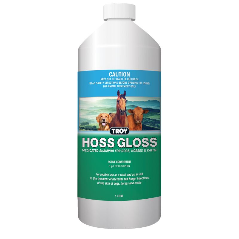 TROY HOSS GLOSS [Sz:1L]