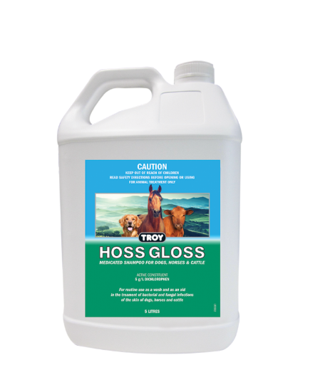 TROY HOSS GLOSS [Sz:5L]