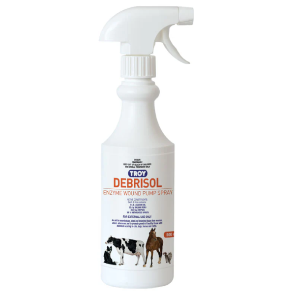 TROY DEBRISOL SPRAY 500ML 