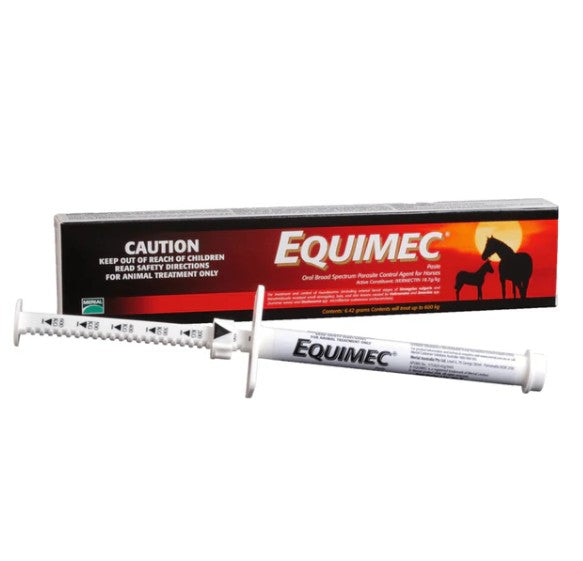 EQUIMEC PASTE