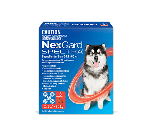 NEXGARD SPECTRA 30.1KG- 60KG [Sz:6PK]