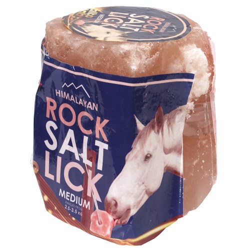 HIMALAYAN ROCK SALT LICK [Sz:MEDIUM]
