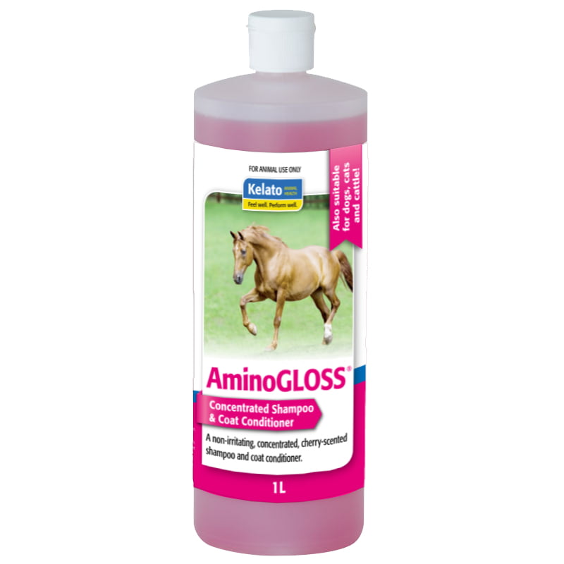 AMINO GLOSS [Sz:1L]