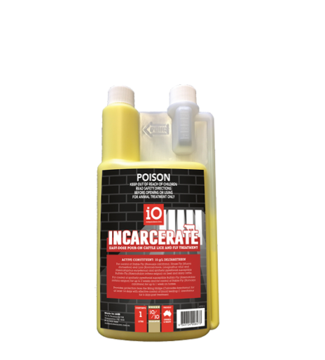 IO INCARCERATE 1L
