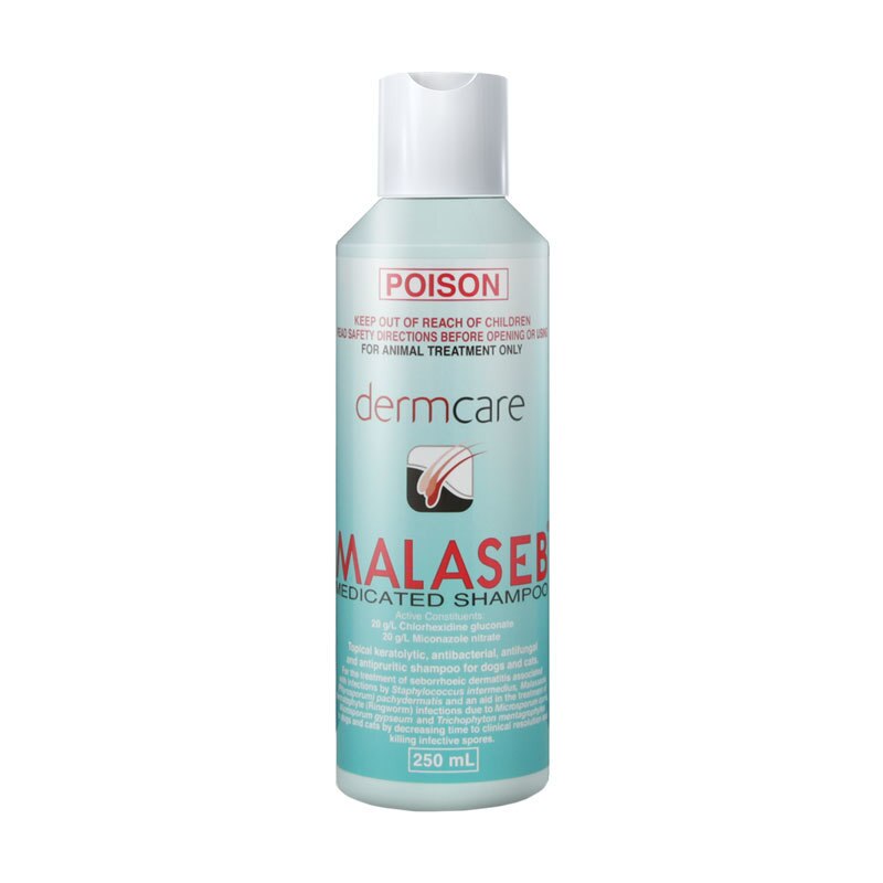 DERMCARE MALASEB SHAMPOO [Sz:250ML]