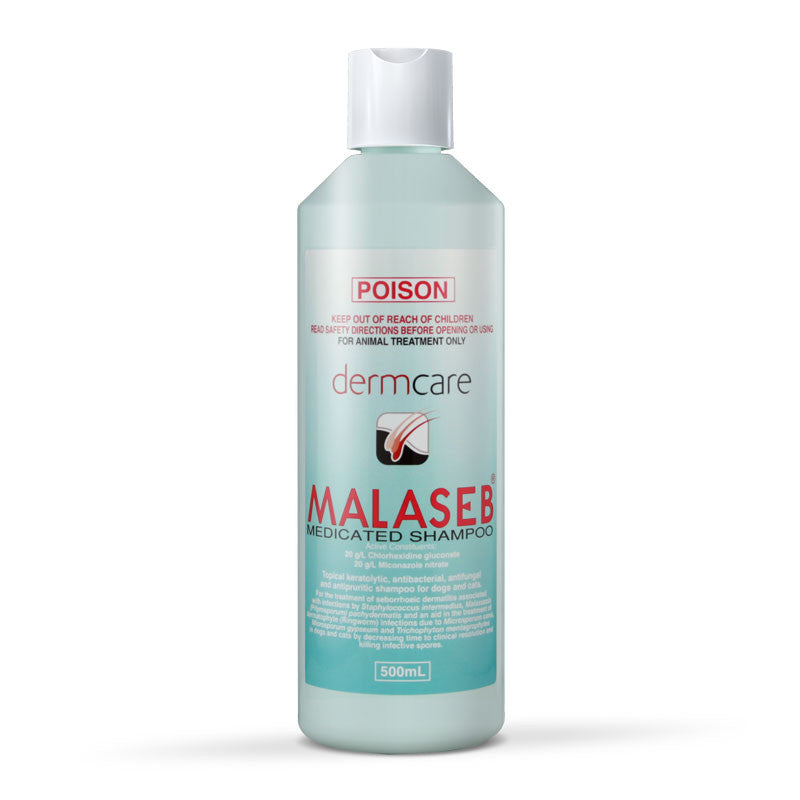 DERMCARE MALASEB SHAMPOO [Sz:500ML]