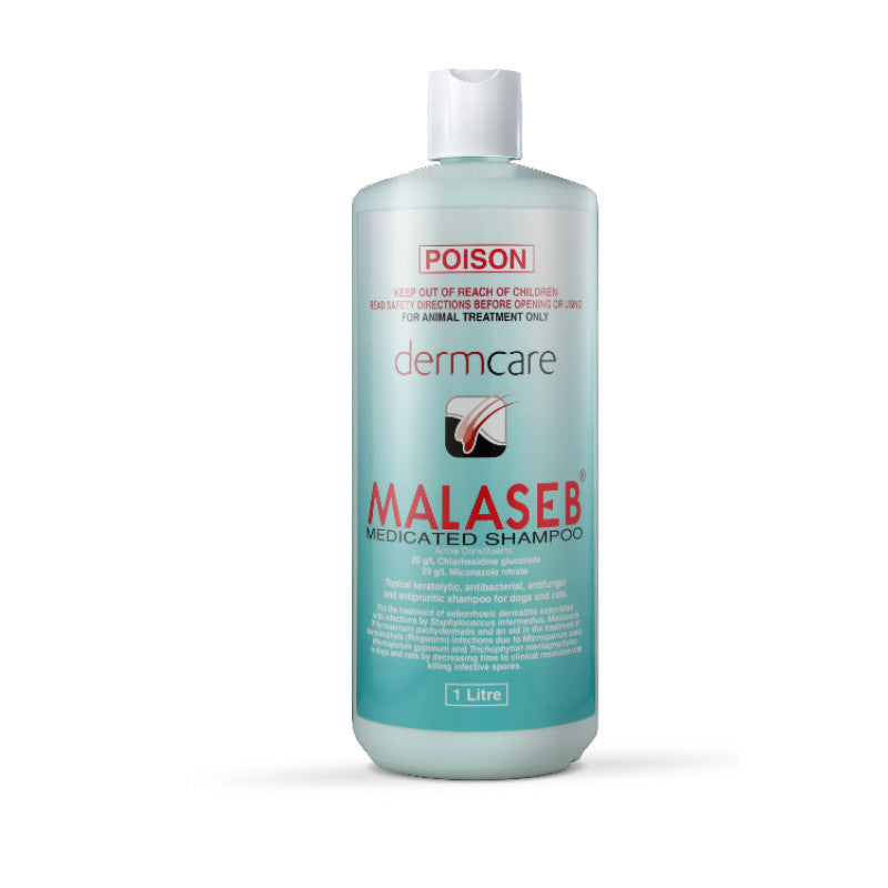 DERMCARE MALASEB SHAMPOO [Sz:1L]