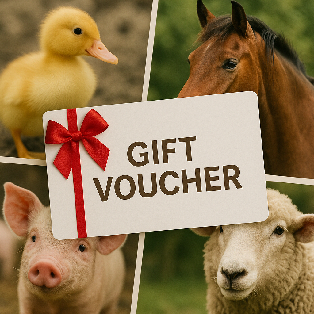 Online Gift Voucher