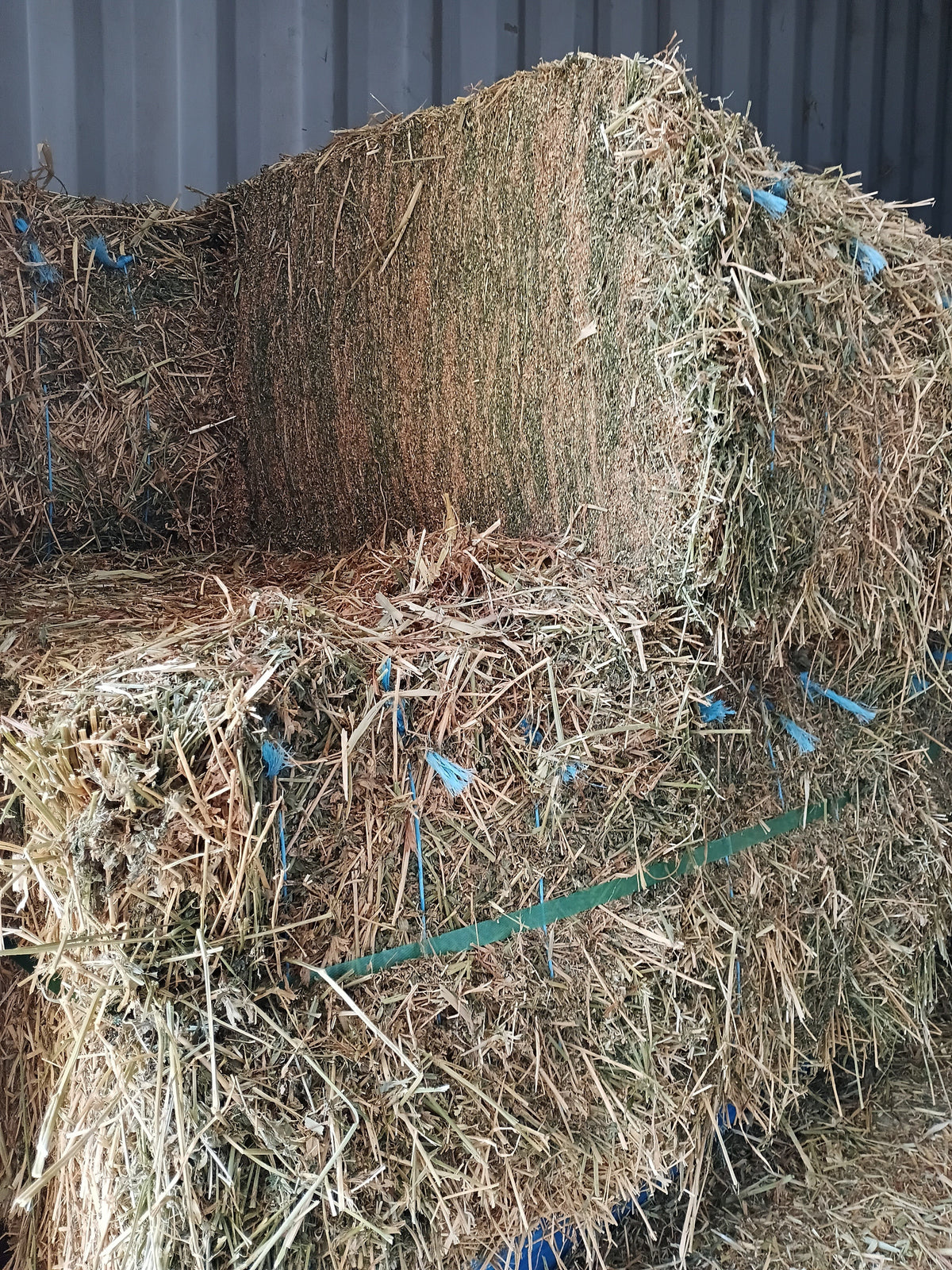 HAY COMPRESSED LUCERNE