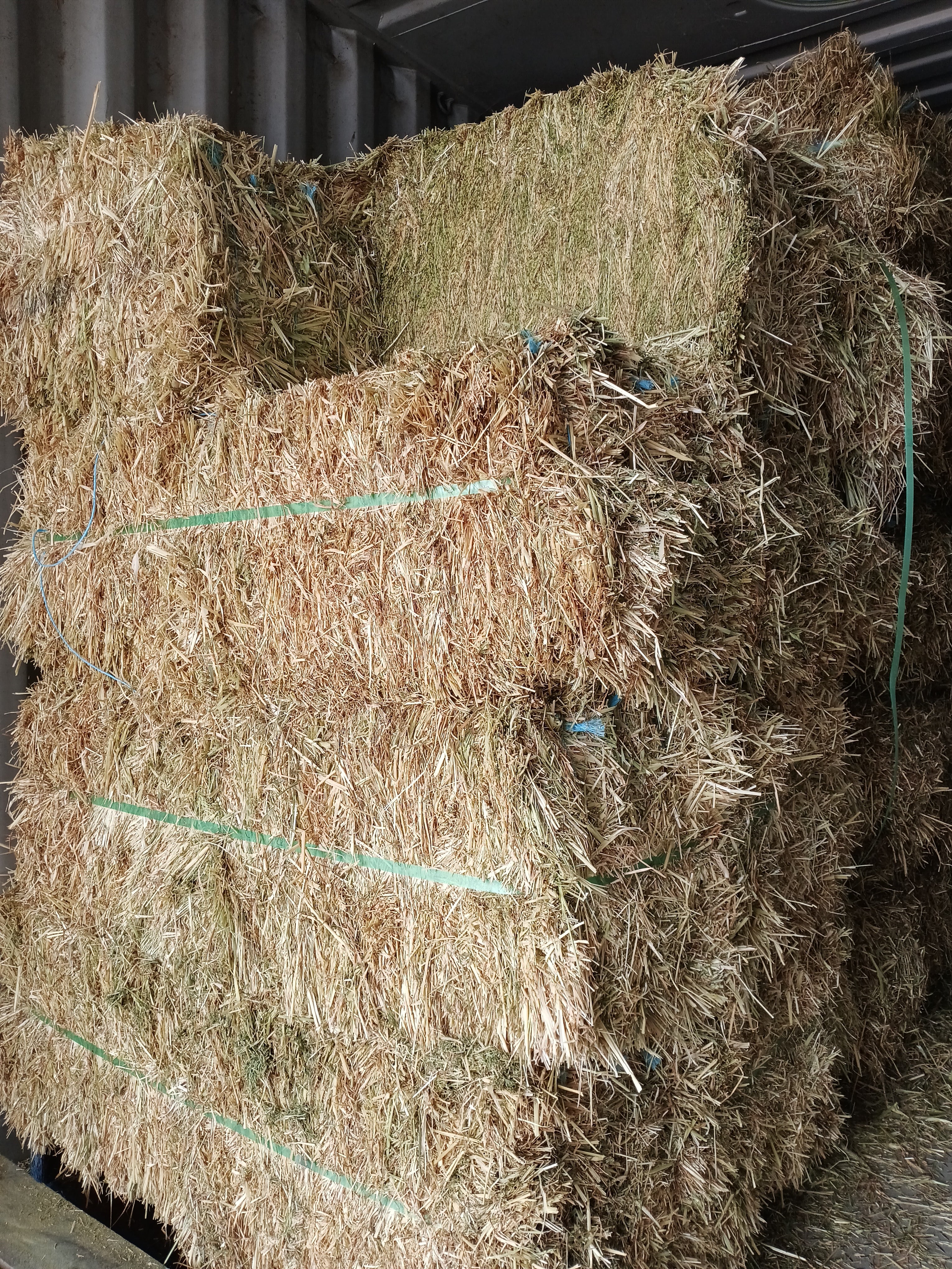HAY COMPRESSED OATEN