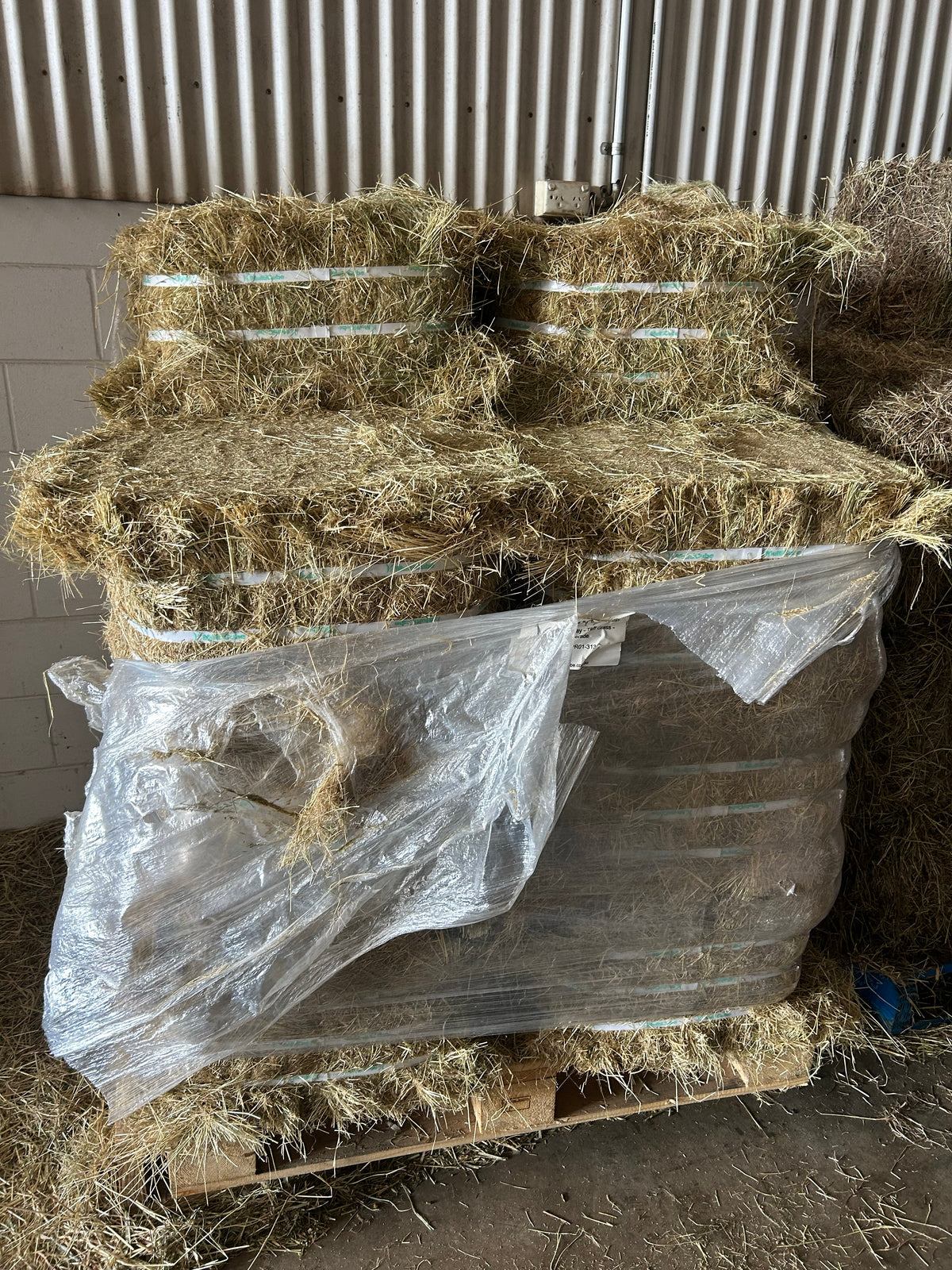 MULTICUBE TEFF HAY BALE